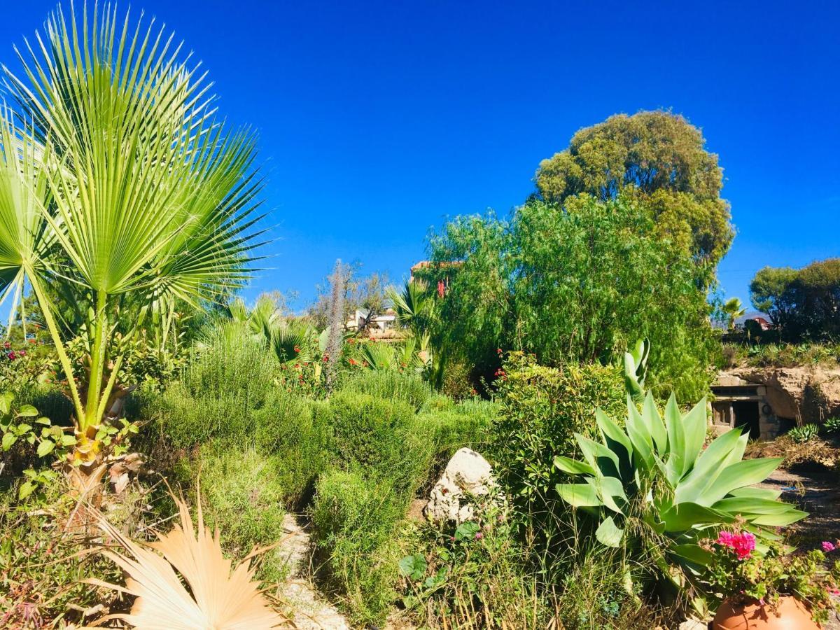 Tenerife Nature Retreat Ifonche Extérieur photo