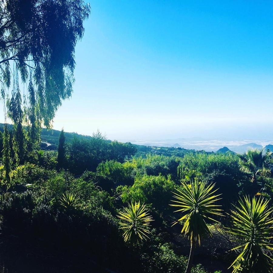 Tenerife Nature Retreat Ifonche Extérieur photo