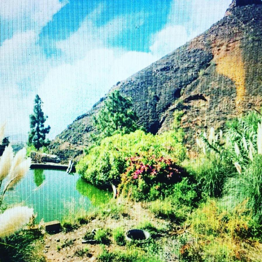 Tenerife Nature Retreat Ifonche Extérieur photo